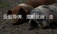 反舰导弹	、潜射武器
，走近航展里的“海防利器”丨2022航展