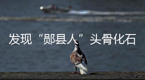 年代距今80万年至110万年左右