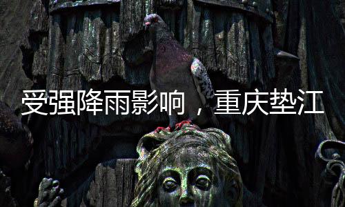 受强澄溪镇胡家湾站特大暴雨