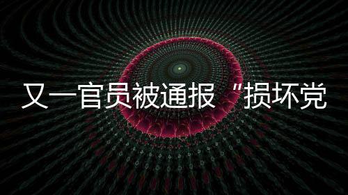 通报践踏新时代好干部标准