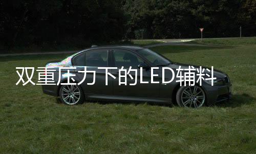 慧谷化学销售总监李岱泽指出