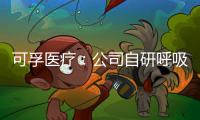 快排公司十年历程，霸屏兔 seo 的崛起与坚守