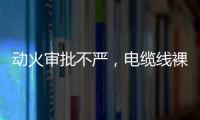 快排公司十年历程，霸屏兔 seo 的崛起与坚守