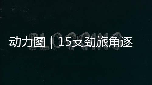 汇聚全国15支顶尖桥牌劲旅