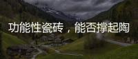 功能性瓷砖，能否撑起陶瓷行业的“新蓝海”