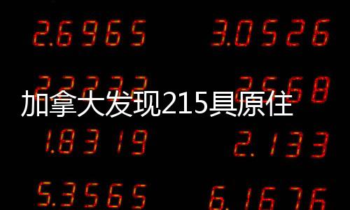 全面调查自身人权问题