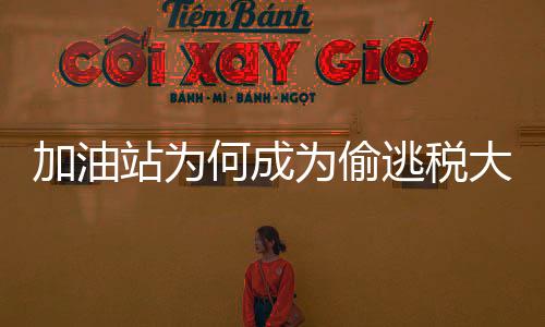 是加油对加油机动手脚