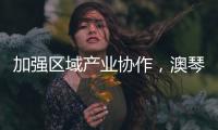 加强区域产业协作，澳琴组团赴华东地区招商引资