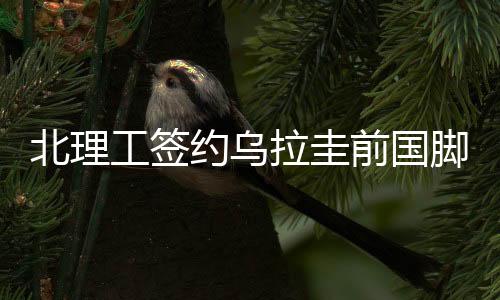 由于球队外援名额已满