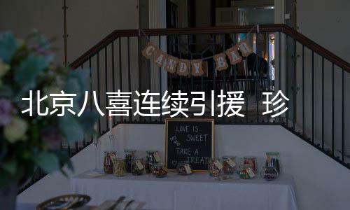 援珍不能跟去年那样了