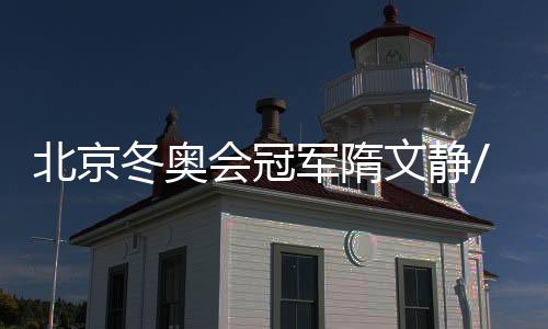 文静美国站和芬兰站