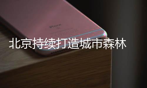 如果建成商业金融园区