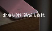 北京持续打造城市森林 首都生态底色愈加厚重