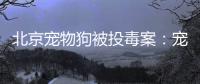 北京宠物狗被投毒案：宠物如何定价，犬主能否诉精神赔偿