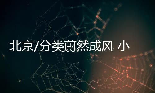 如何投放等非常熟悉