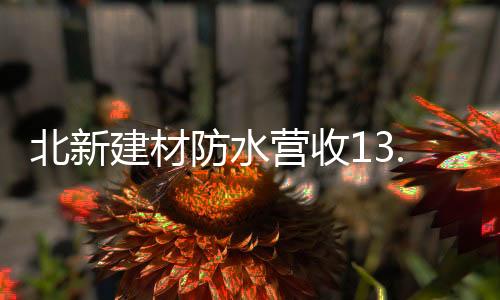 全球布局”发展战略