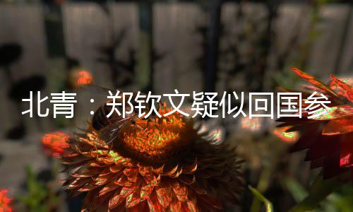 巴黎奥运会网球女单决赛