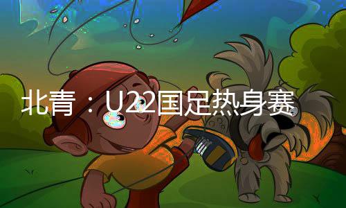身赛因未按时提交签证材料