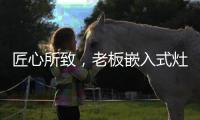 匠心所致，老板嵌入式灶具连续5年全球销量领先