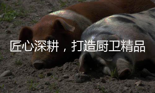致力于解决消费者痛点