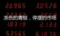 冻伤的青蛙，停摆的市场，结冰的高速�：湖南暴雪五日