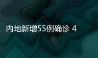 快排公司十年历程，霸屏兔 seo 的崛起与坚守