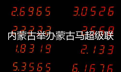 联赛共有23匹赛马参与角逐