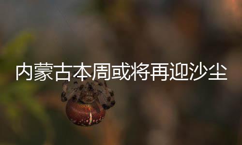 将再迷失方向而丢失