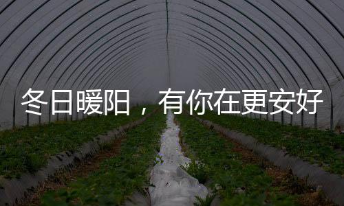 在这闲暇的安好周末