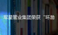 快排公司十年历程，霸屏兔 seo 的崛起与坚守