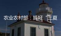农业农村部
：抓好“三夏”生产 努力夺取全年粮食丰收