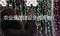 农业强国建设步履铿锵（奋勇争先	，决战决胜“十四五”）