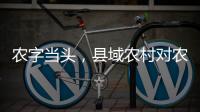 农字当头�，县域农村对农行的贡献度有多高
？丨透视银行业年报⑥