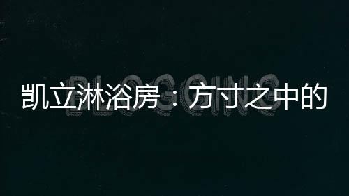 保卫卫生间其他卫浴用品