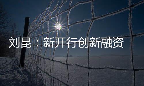创新融资模式和贷款工具
