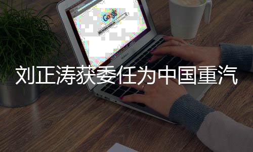 涛获团党董事长等职务