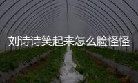 刘诗诗笑起来怎么脸怪怪的？拍摄距离太近的问题？