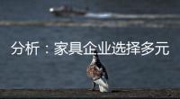 分析：家具企业选择多元化发展还是专业化道路?