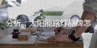 分析
�：太阳能路灯品牌怎样把握高端市场?