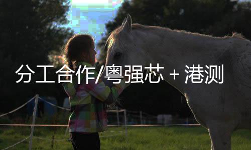 港测 谢来风指出