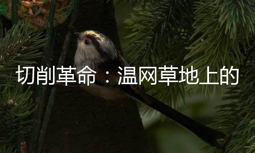 切削技术在当代网球的式微