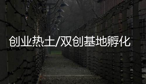 有影响的项目创新创业活动