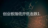 创业板指低开低走跌1.36%，油气股逆势大涨