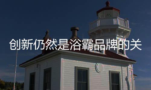 在中国浴霸多年的浴霸发展中