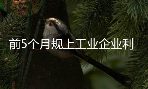 增速比1至4月加快0.3个百分点