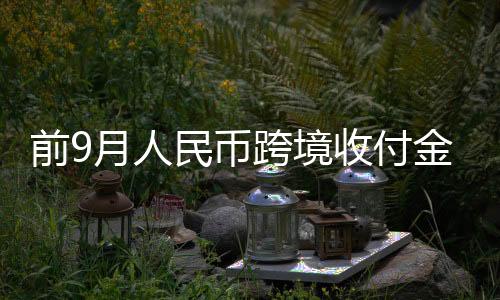 人民币国际化稳中有进