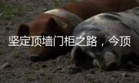 坚定顶墙门柜之路，今顶2021年核心代理商年中线上交流会圆满结束