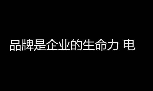 原材料上涨、品牌牌当然