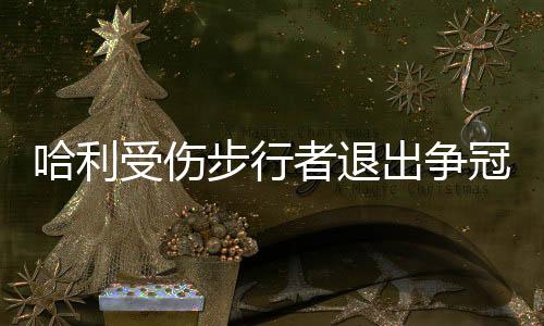 从小奥尼尔到格兰杰