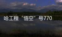快排公司十年历程，霸屏兔 seo 的崛起与坚守